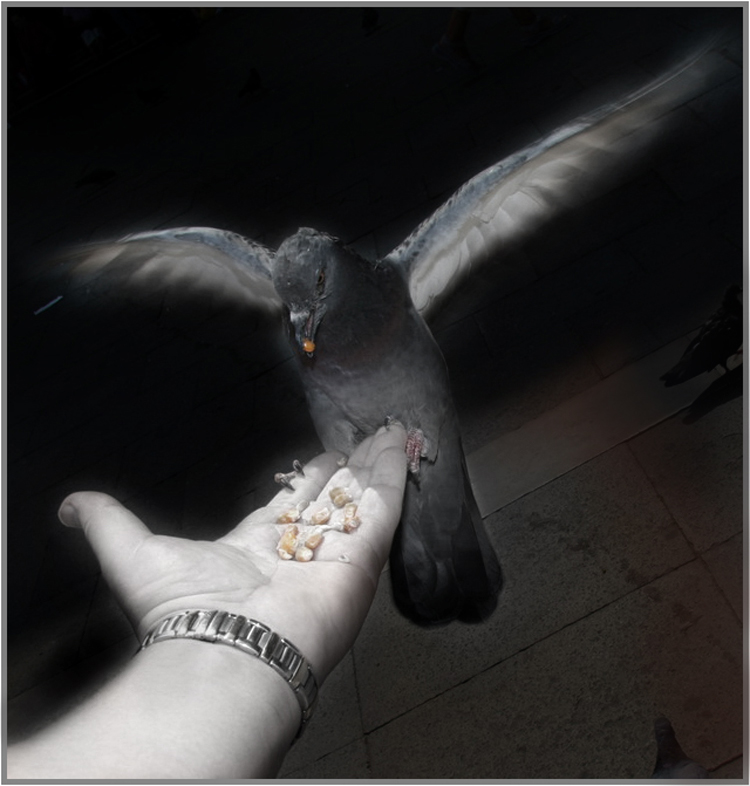 Here is my hand .....