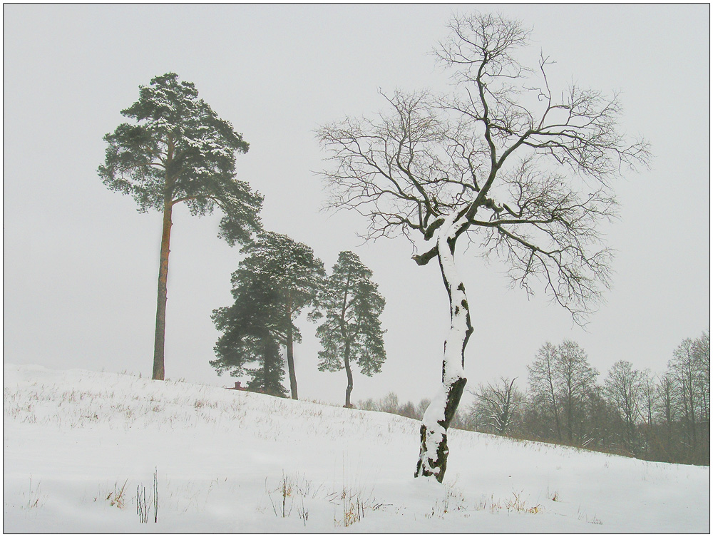 On the seven winds.