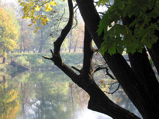 Autumn bends