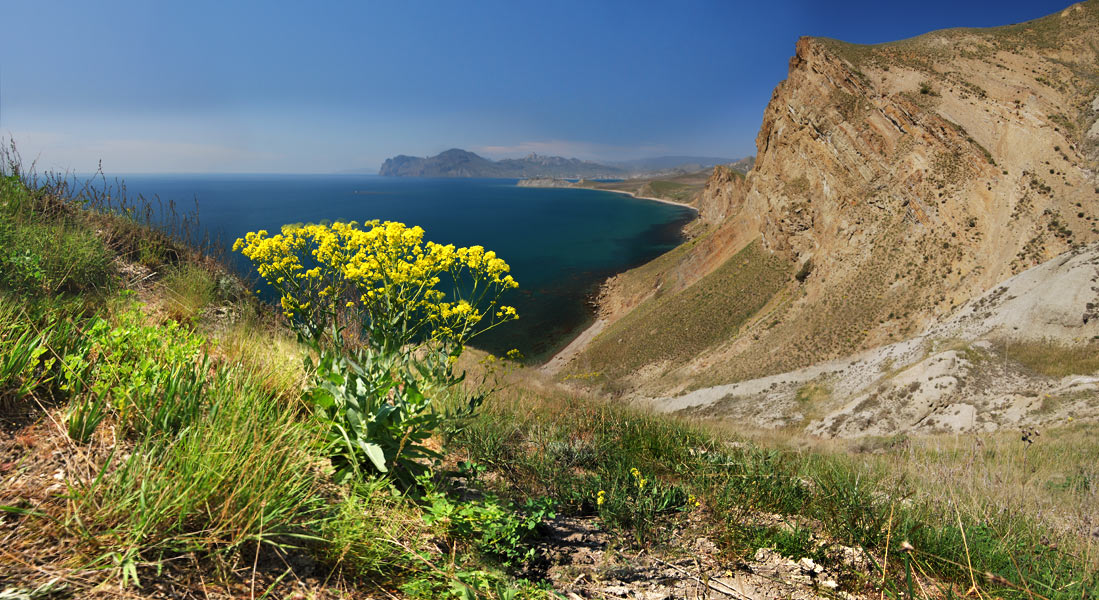 spring open spaces