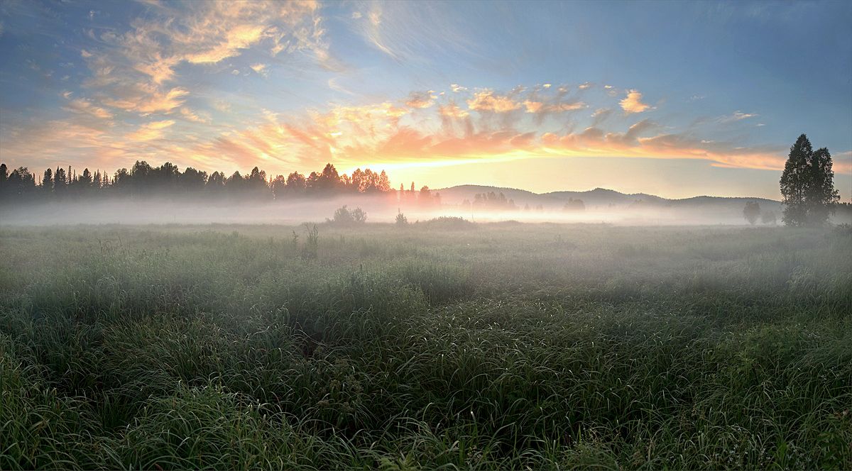 stooping dawn mist flowed into the meadows ...