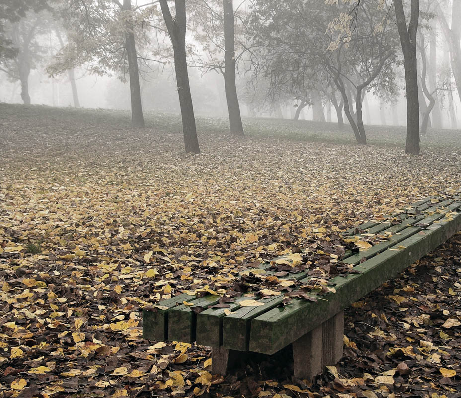 Sit ...