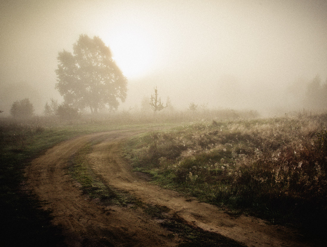 THE POWER OF FOG