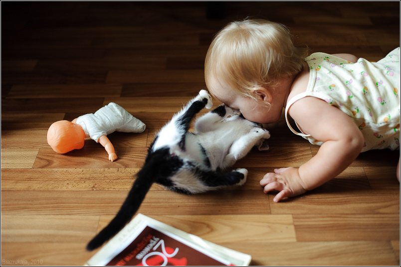 Mila and the Cat