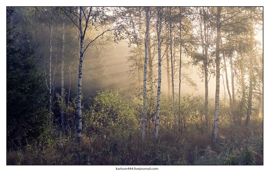 Misty dawn.