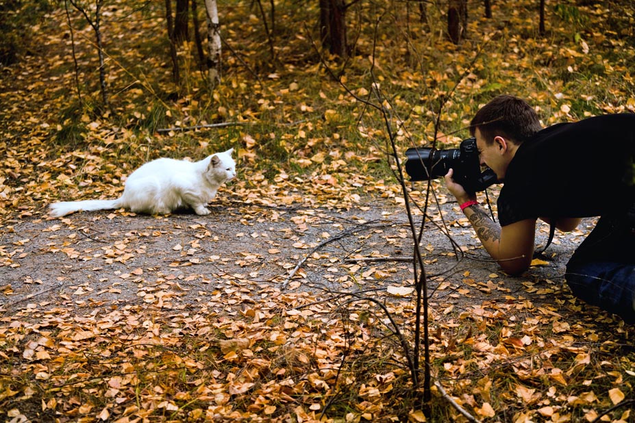 Kicks, kitty, kitty, tell me - "Chi-i-and-out" or "You take off, take off my photographer № 2"