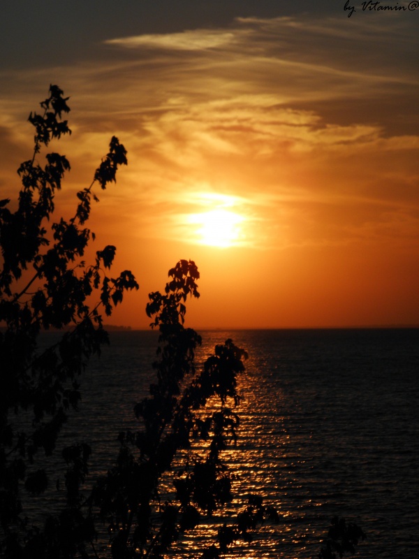 "Black" sea