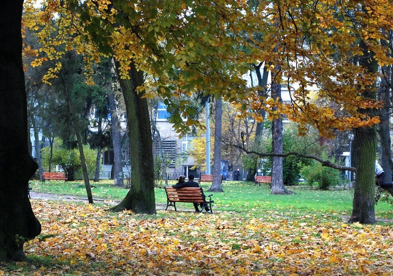 Autumn Park