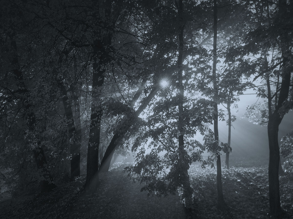 Filled with light ..