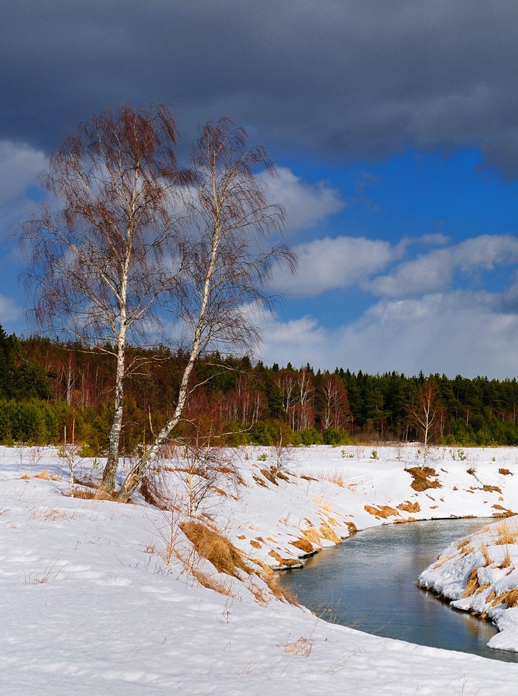 spring, spring ...