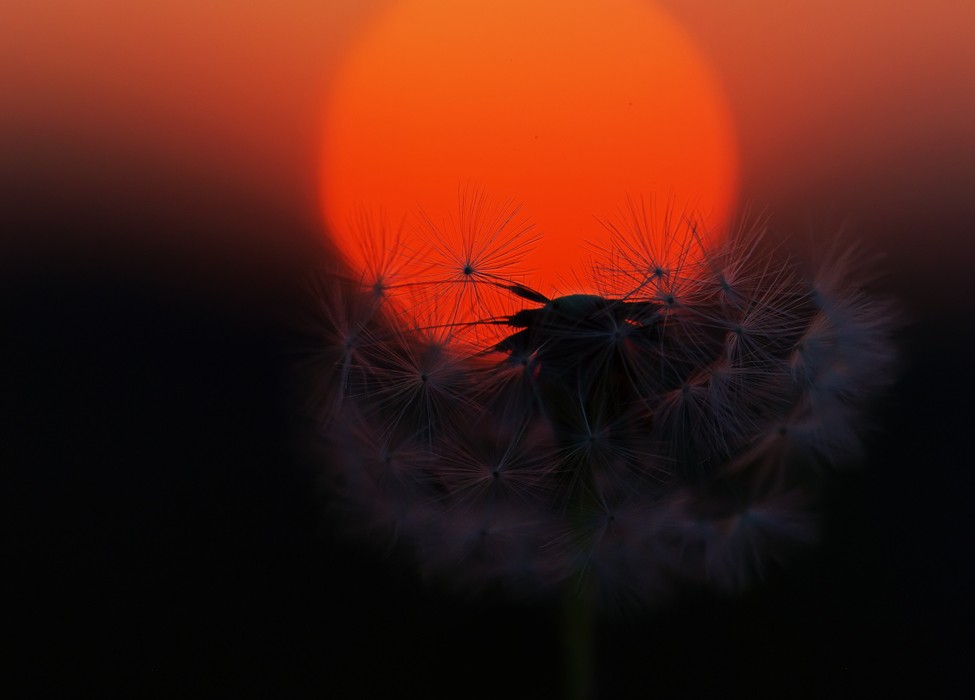 Dialogue at sunset ...
