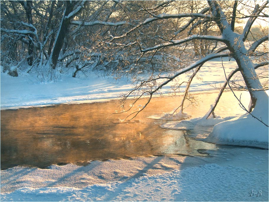 Winter etude