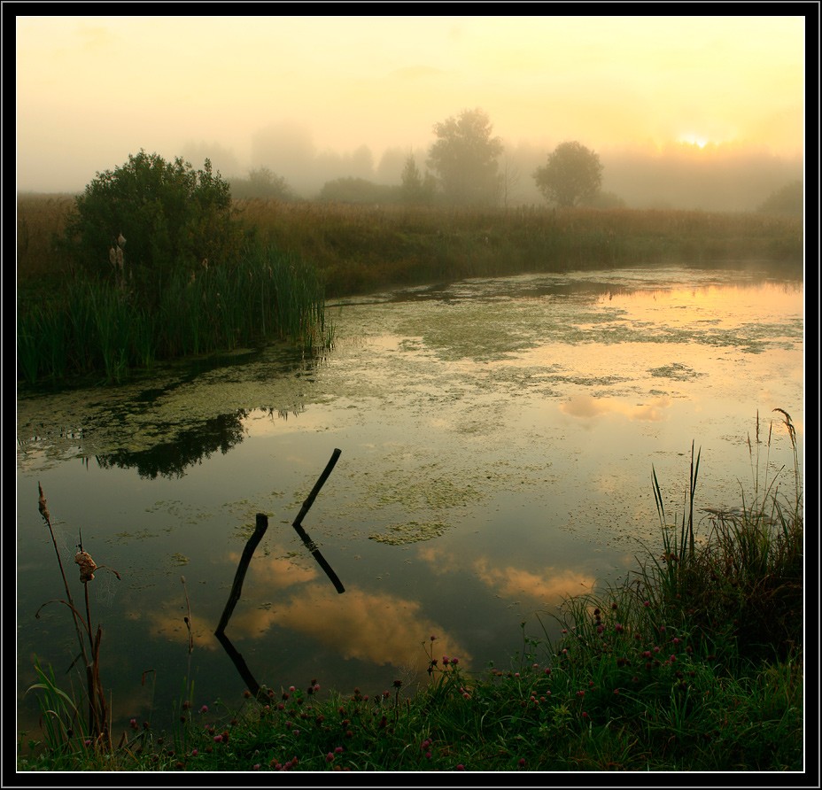 река полина