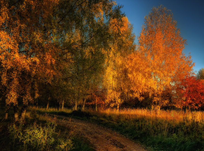 Autumn Kiss
