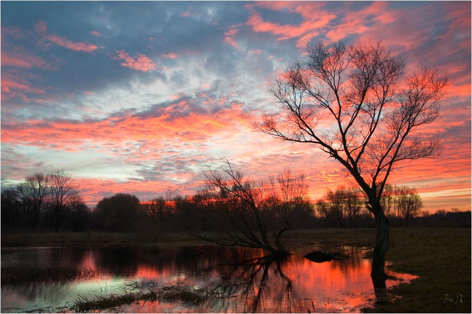 Fire autumn dawn