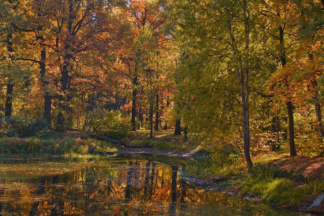 the spirit of autumn