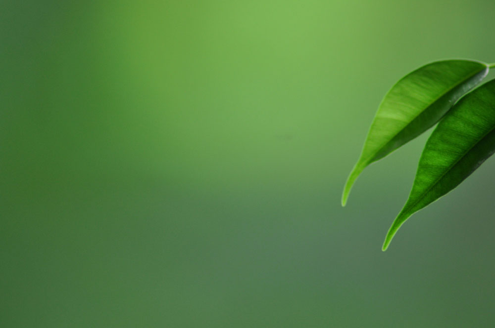 Green mood