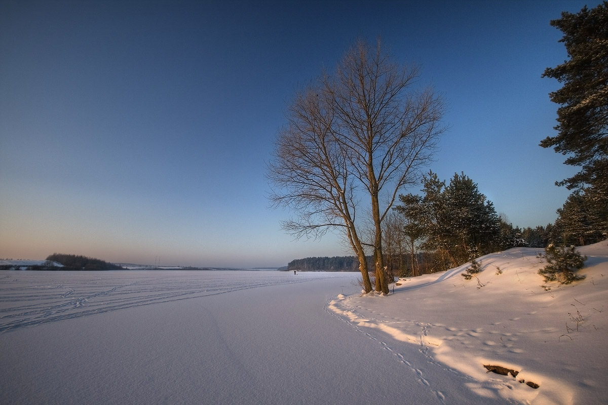 | Footprints in the Avian |