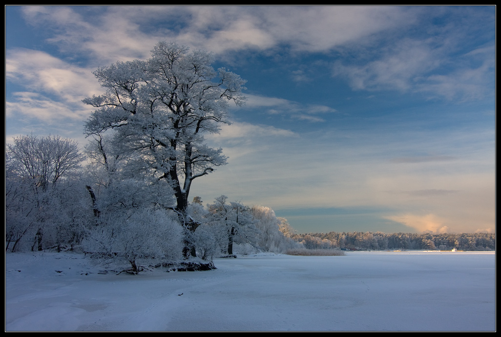 Winter Light