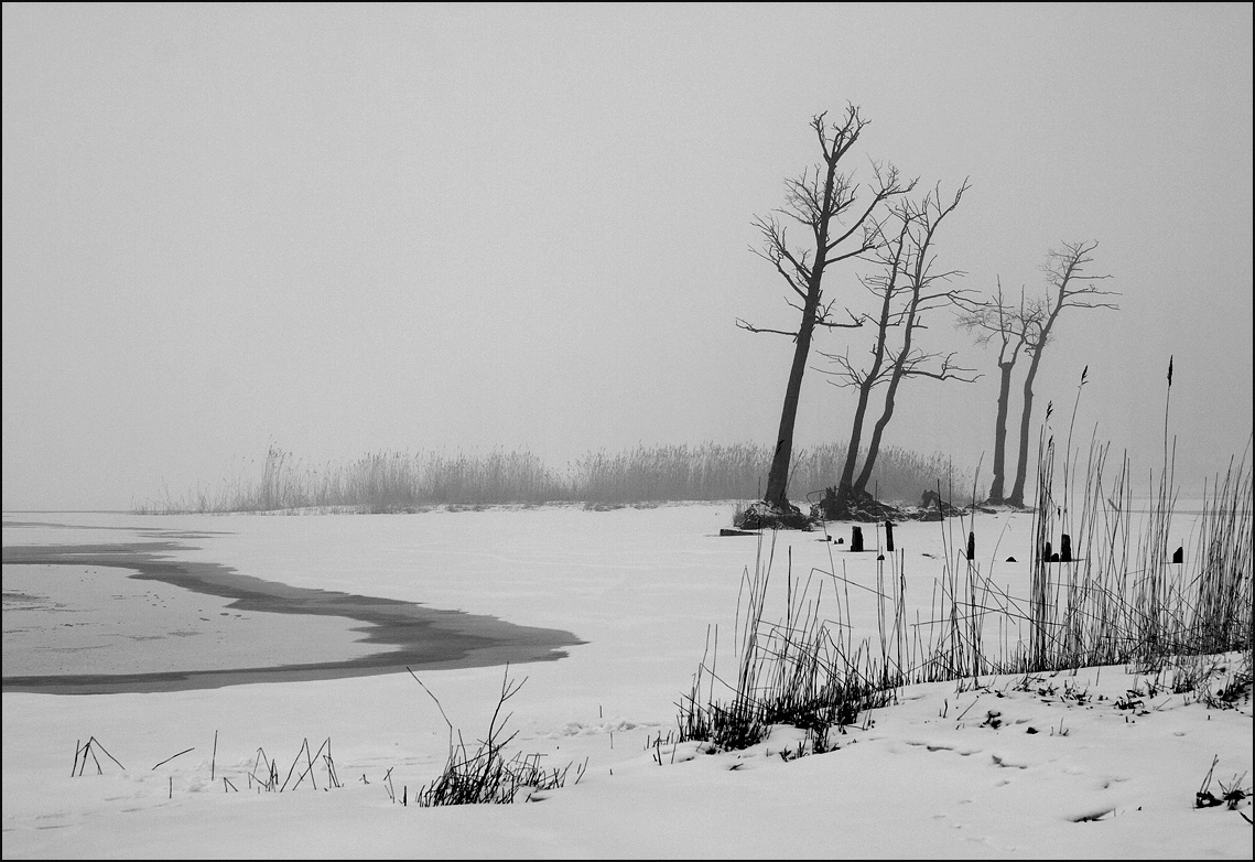 Graphics fog