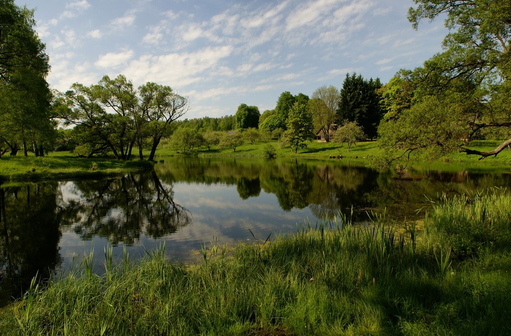 Vyazynka