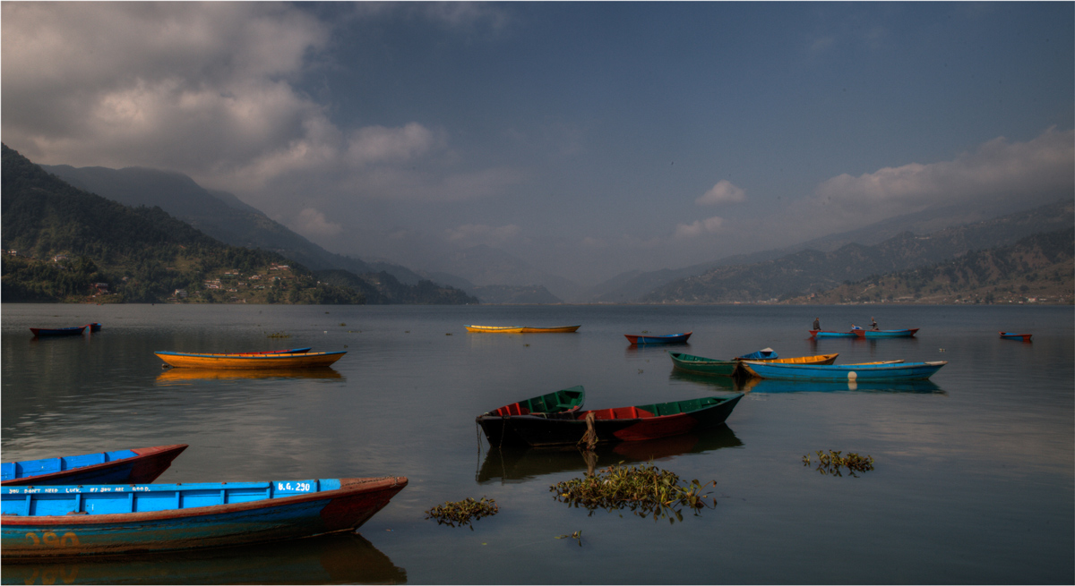 Lake FEVA