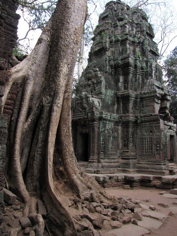 The death of Ta Prohm