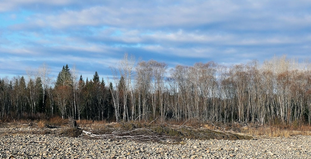 Water left