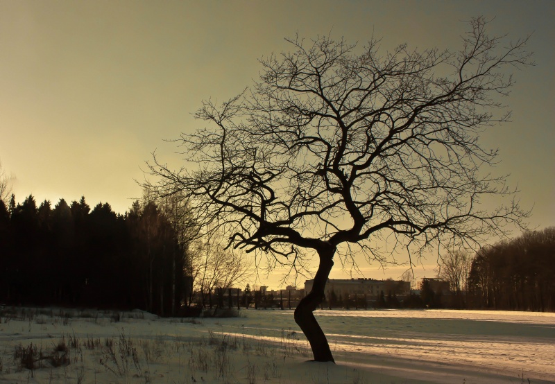 Winter