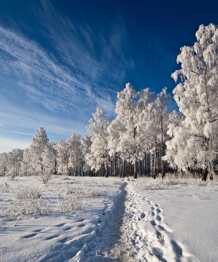 winter time