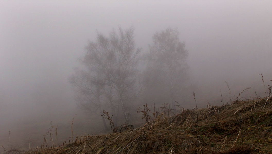 Fog