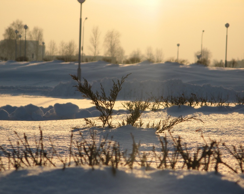 Winter ...