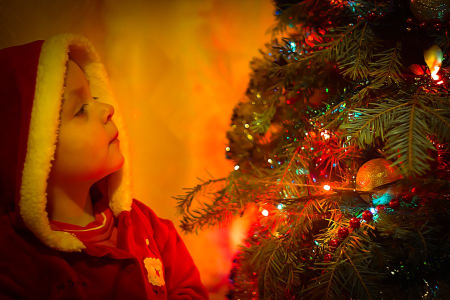 Wish Tree
