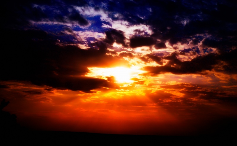 Summer colors