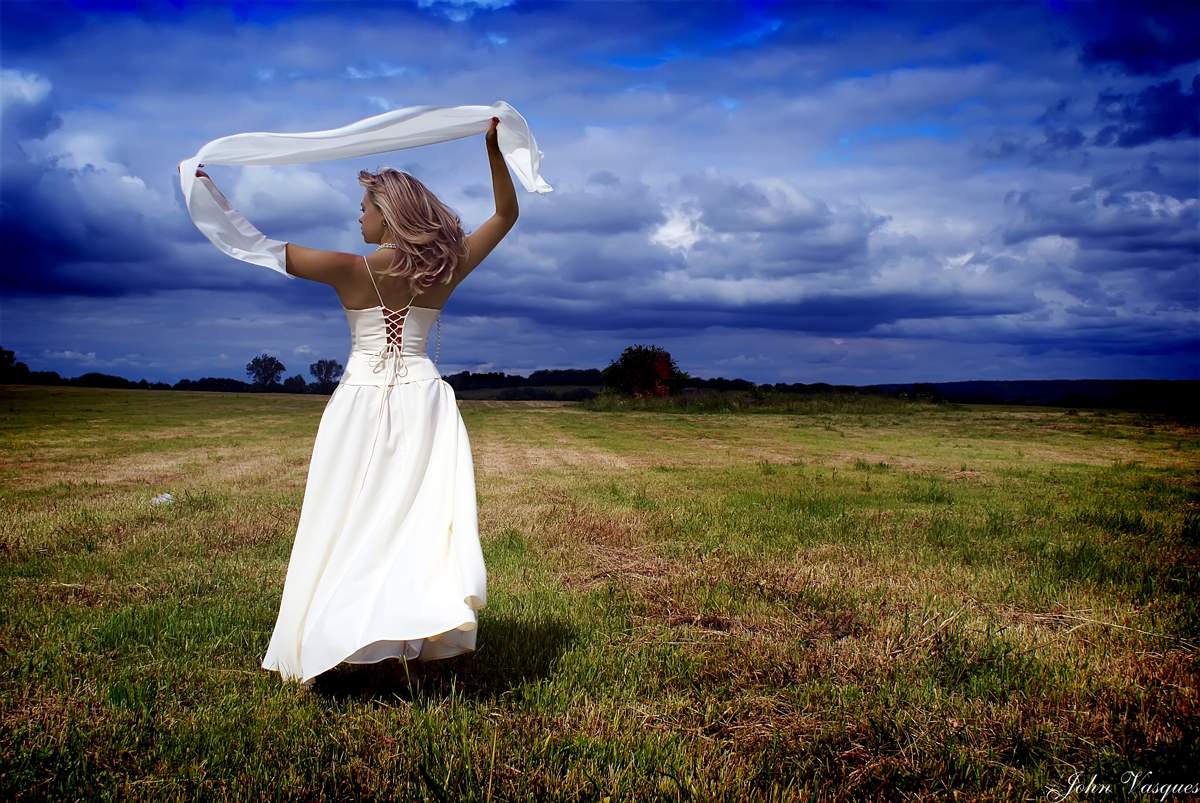 Wind field