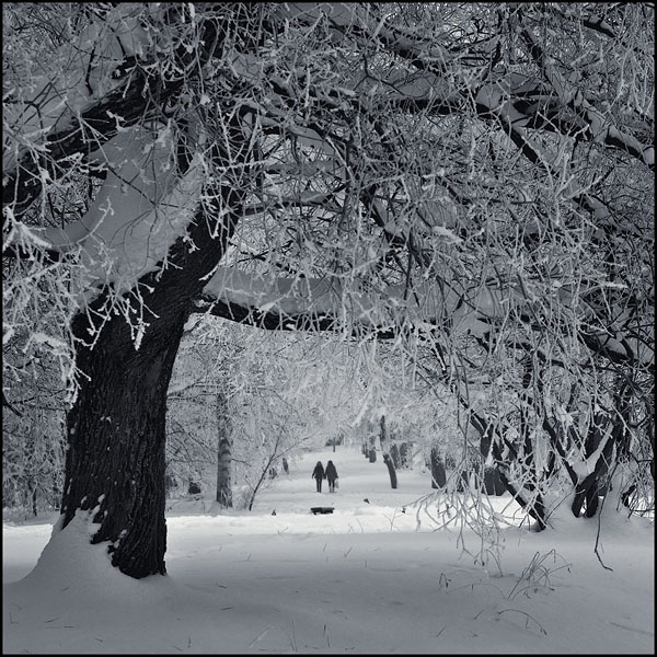 In Winter Park
