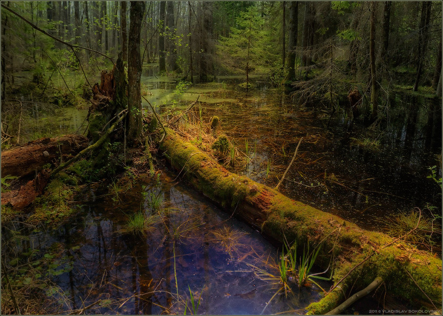 / Slough /
