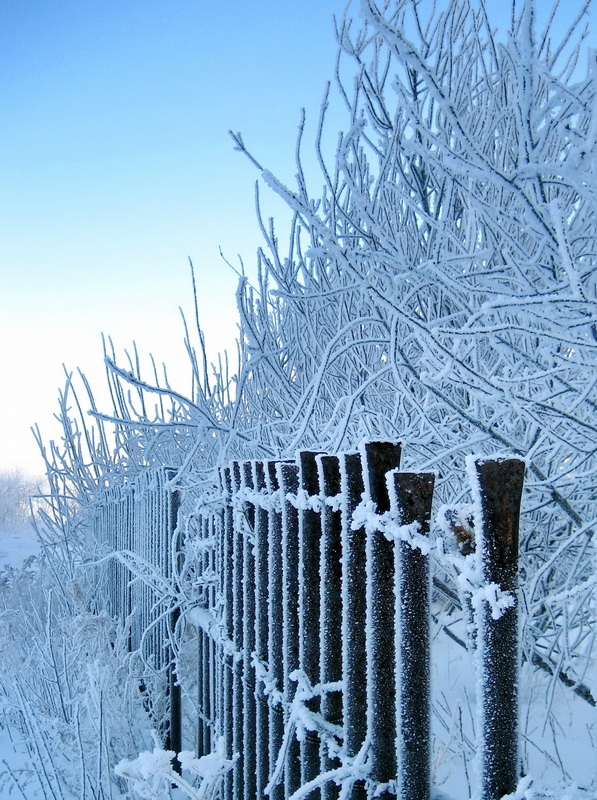 Outside the fence, intricate patterns ...