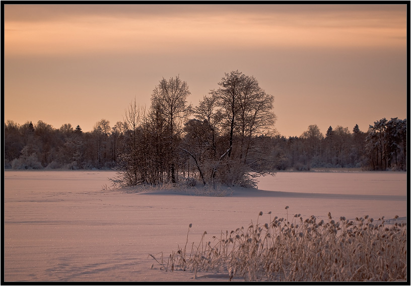 On the shore ...