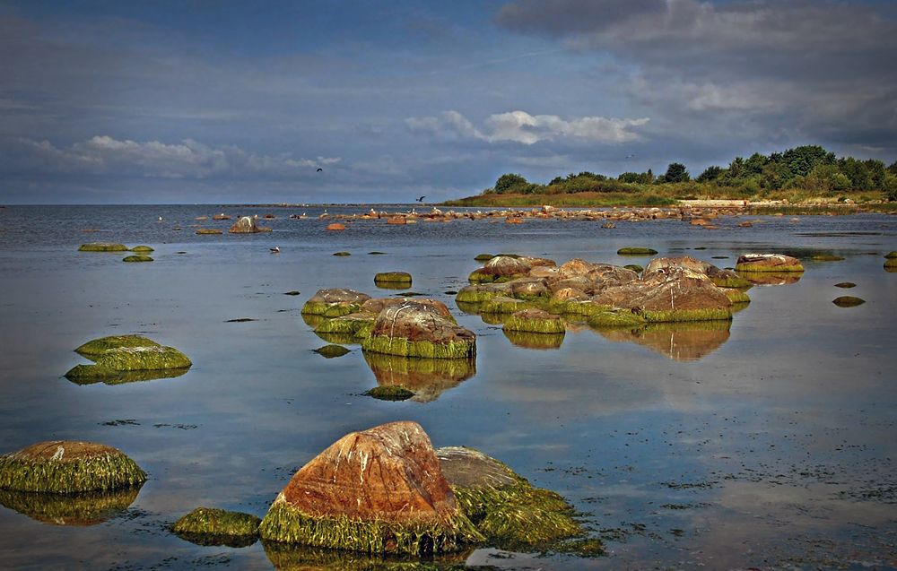 Sketch del mare