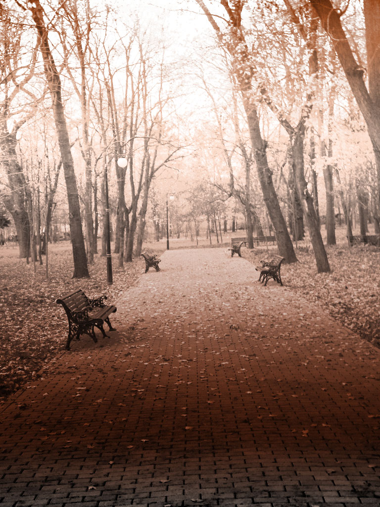 Park