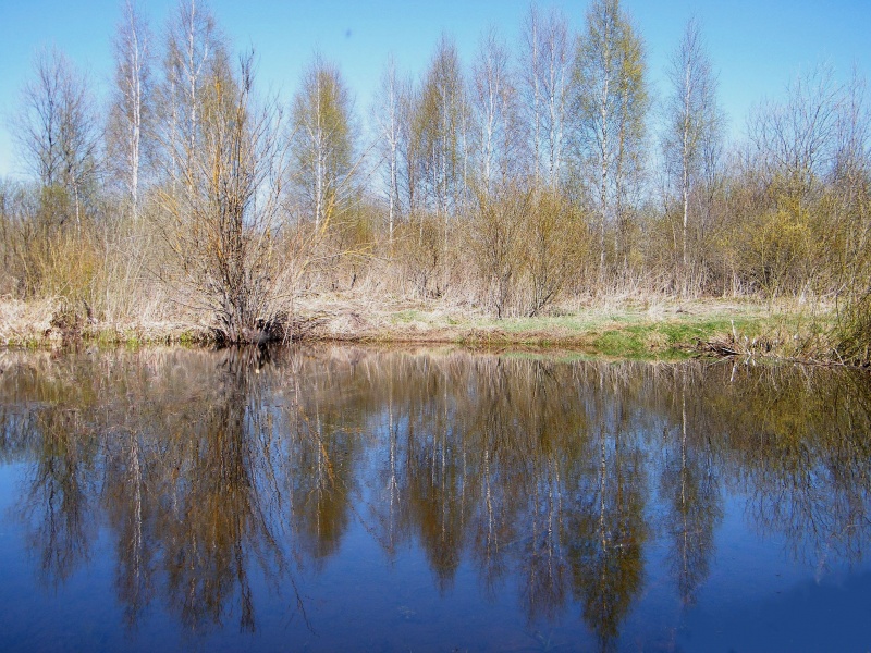 River Prudets