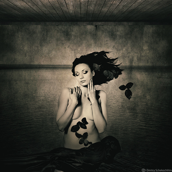 Daydream