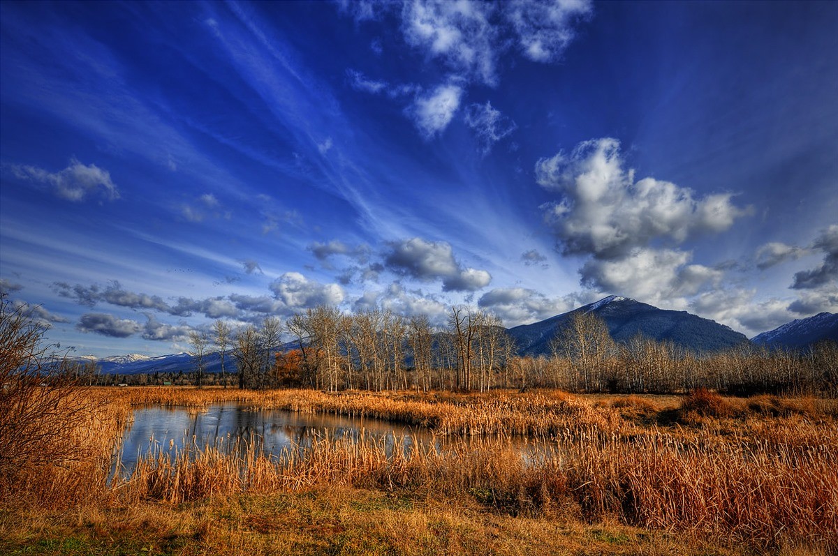 Colori della Natura