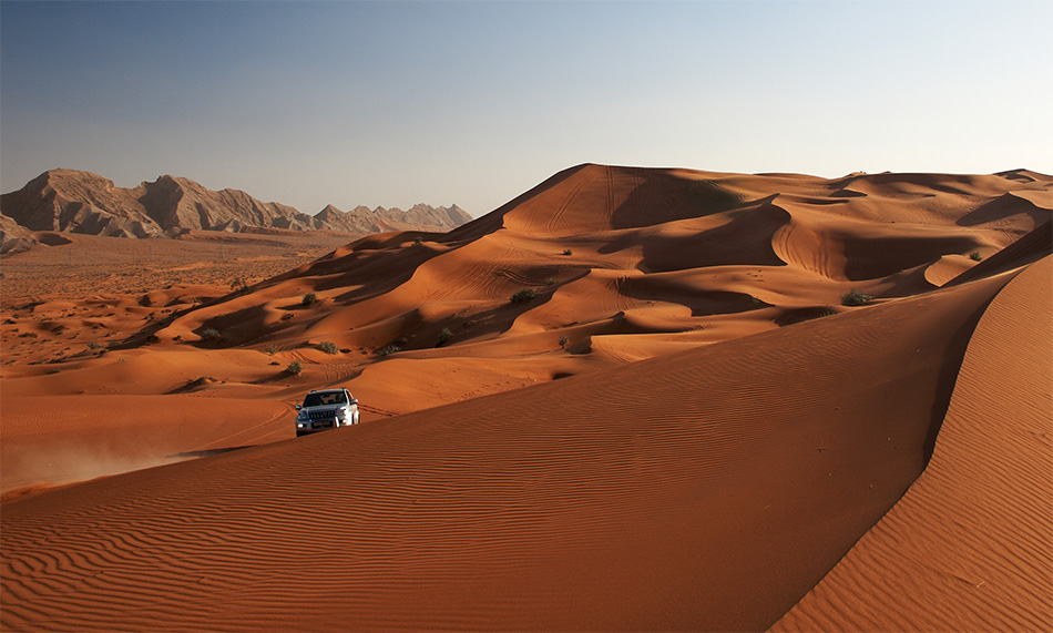 Deserted Safari