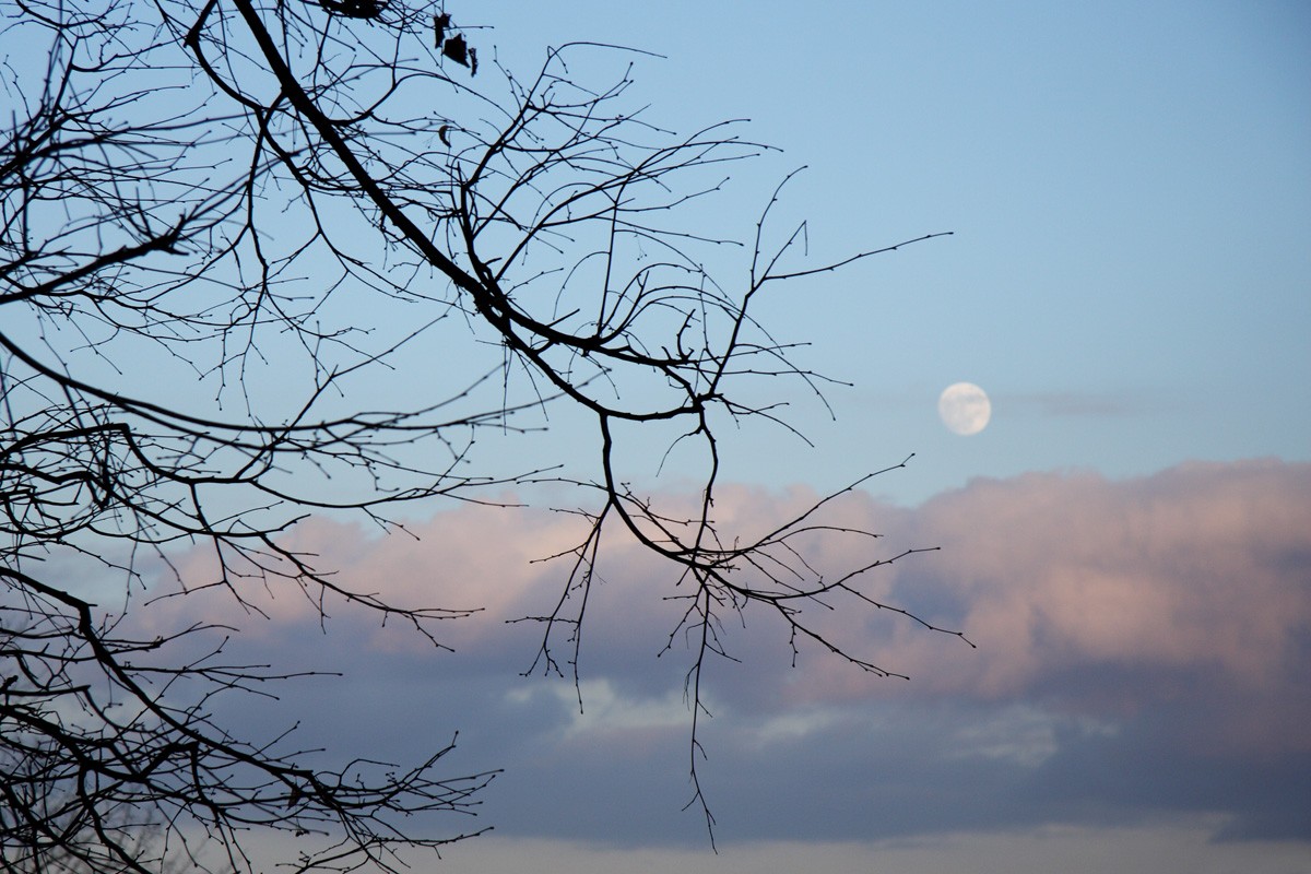 moon