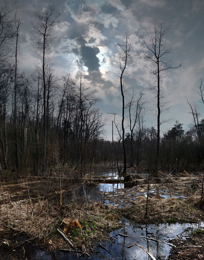 ... In the swamp ...