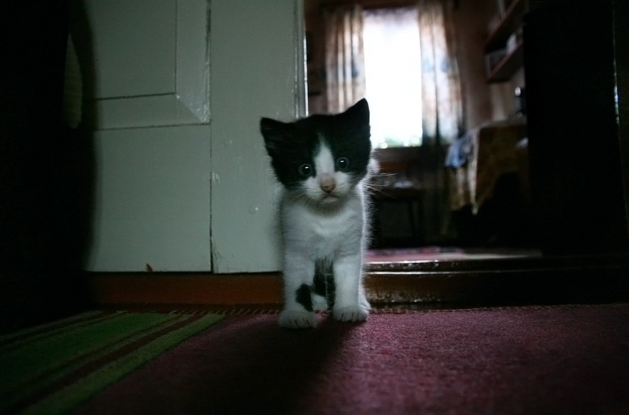 ... Frightened eyes to ...