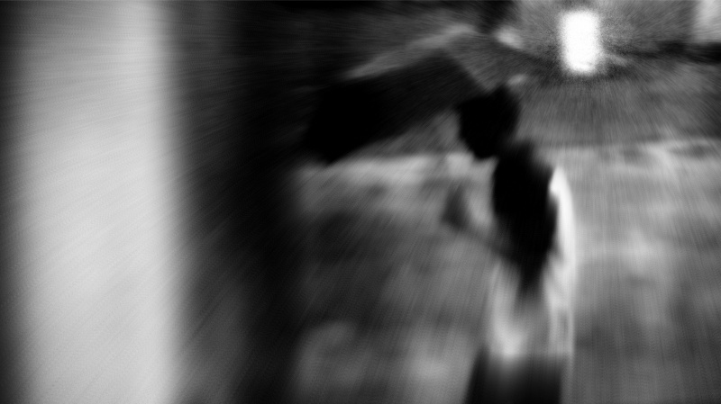 wanderer
