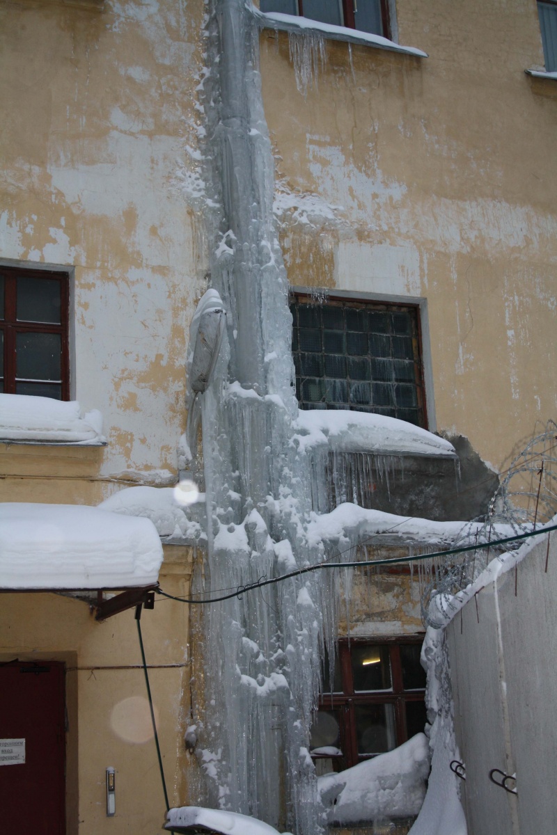 Winter 2010/2011